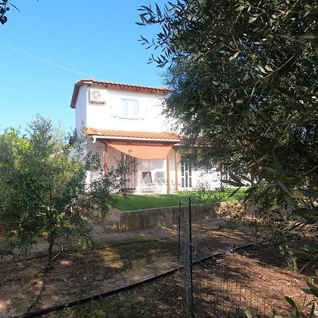 Spiti Ostria Villa Aígion Ngoại thất bức ảnh